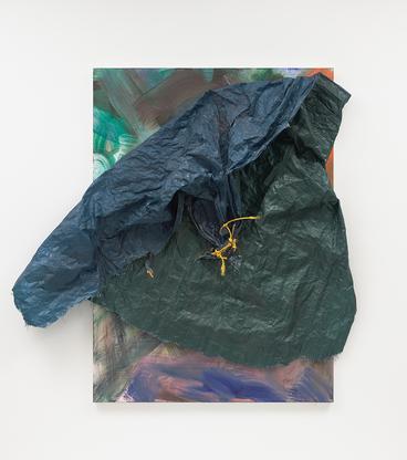 David Hammons Untitled 2017 acrylic on canvas, tar...
