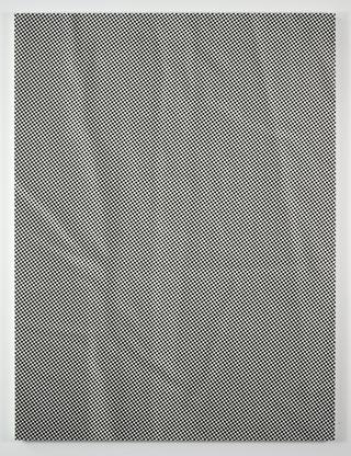 Tauba Auerbach Crease II 2009 acrylic and inkjet o...