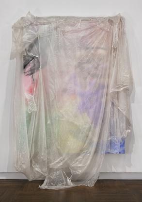 David Hammons Untitled 2010 acrylic on canvas, tar...